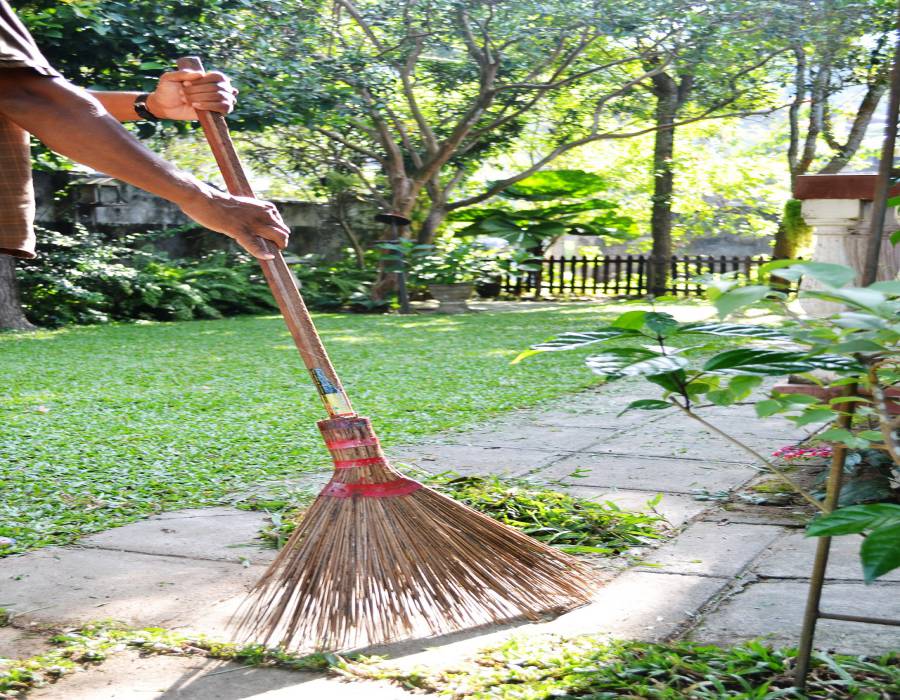 Yard Waste Debris yard cleaning